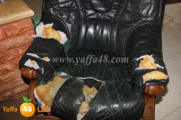 modahama lud 0216 (6).JPG